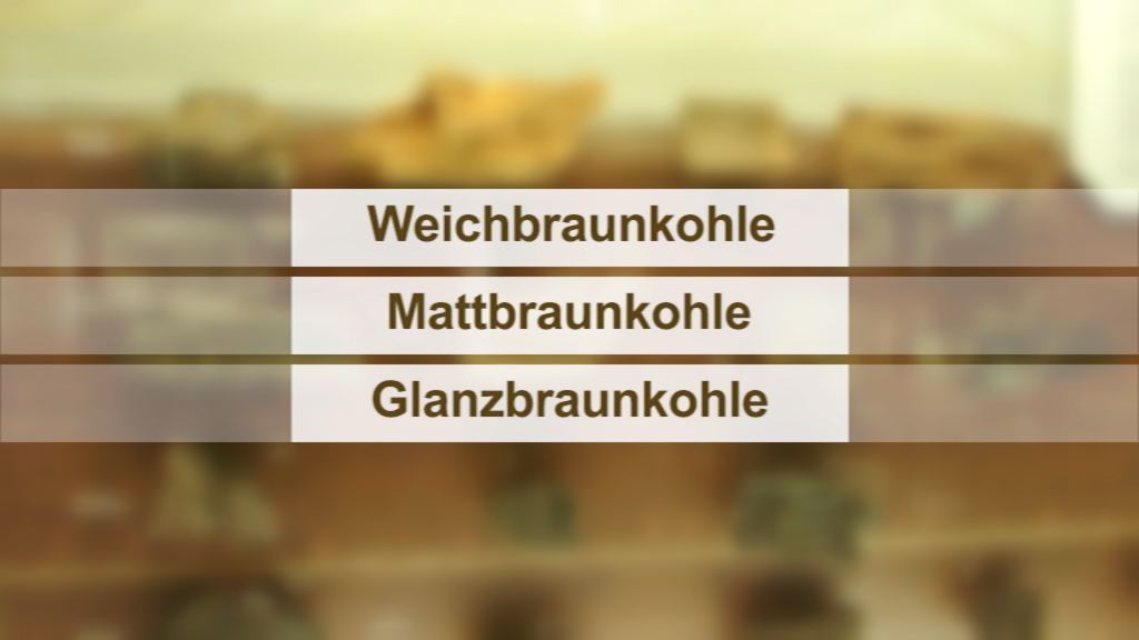 Drei Arten von Braunkohle: Weichbraunkohle, Mattbraunkohle, Glanzbraunkohle
