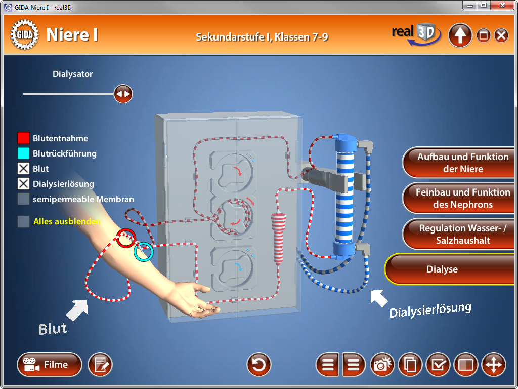 Interaktive Darstellung einer Niere mit Dialysator, Blutfluss und Membran, für den Unterricht der Klassen 7-9.