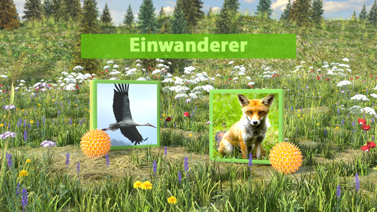 Ein Bild mit zwei Rahmen: links ein Kranich, rechts ein Fuchs, umgeben von einer blühenden Wiese.