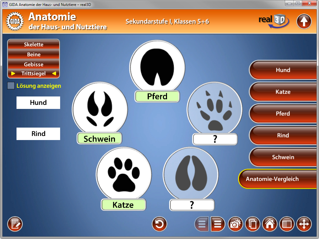 Interaktive Lernoberfläche zur Anatomie von Haustieren mit Abbildungen von Pfotenabdrücken von Hund, Pferd, Schwein und Katze.