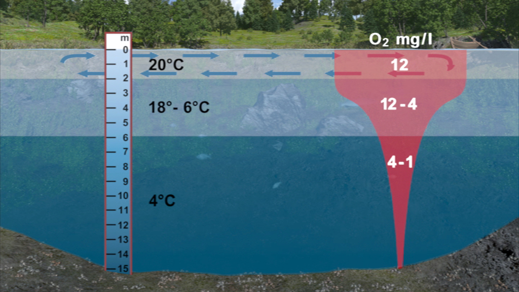 Grafik zeigt Sauerstoffgehalt in mg/l in Abhängigkeit von Wassertemperaturen und Tiefen.