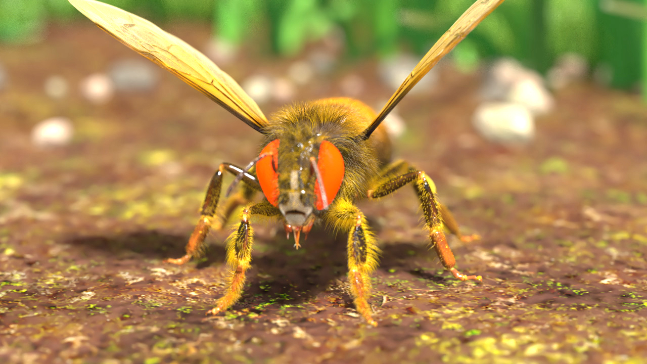 Nahaufnahme einer Biene mit orangefarbenen Augen, auf einem erdigen Untergrund.
