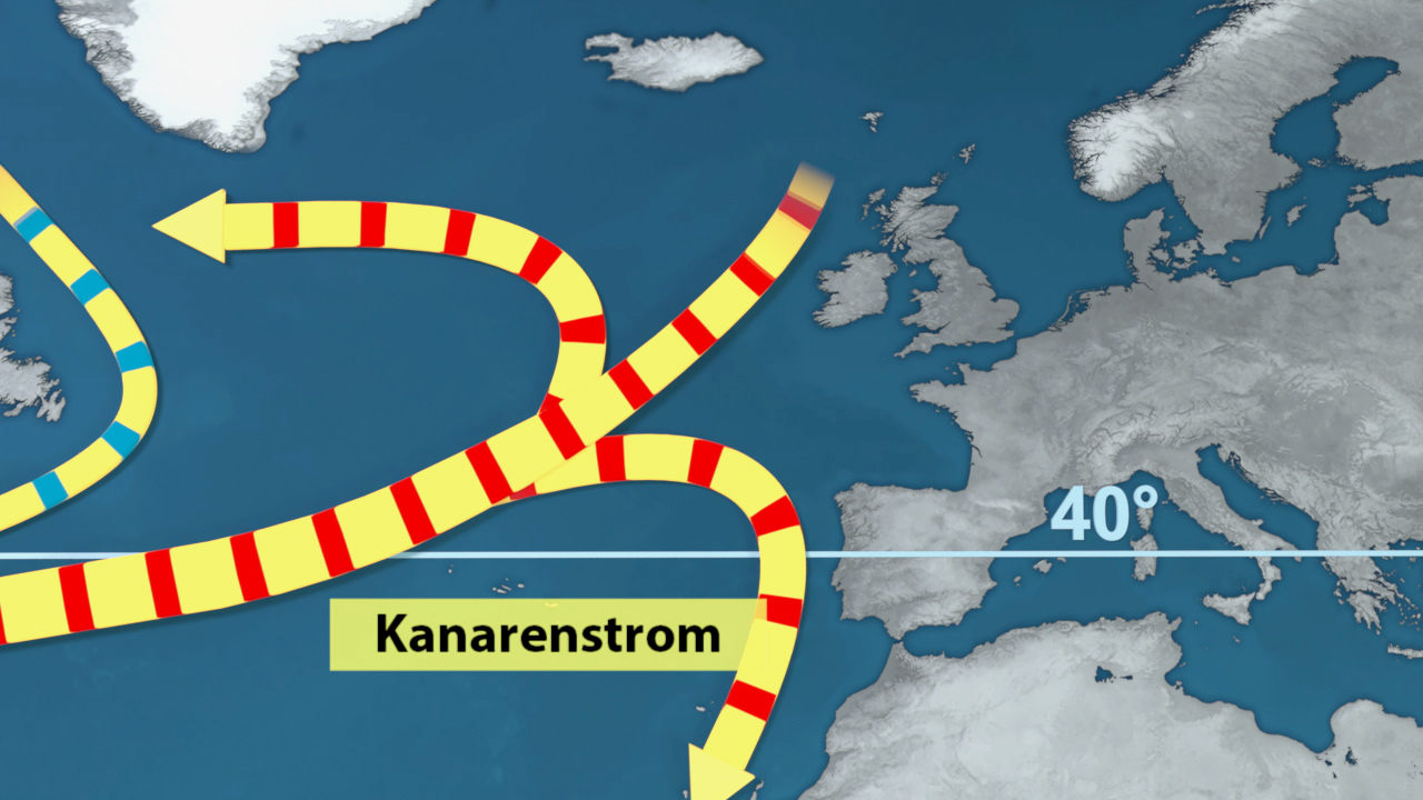 Karte des Kanarenstroms mit Pfeilen, die die Strömungsrichtung anzeigen, und dem Hinweis auf 40° Breite.