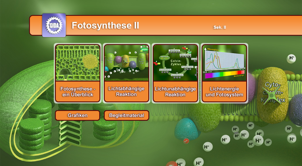 Menü des Films mit den Themen: Fotosynthese, Lichtabhängige Reaktion, Lichtunabhängige Reaktion, Fotosystem.