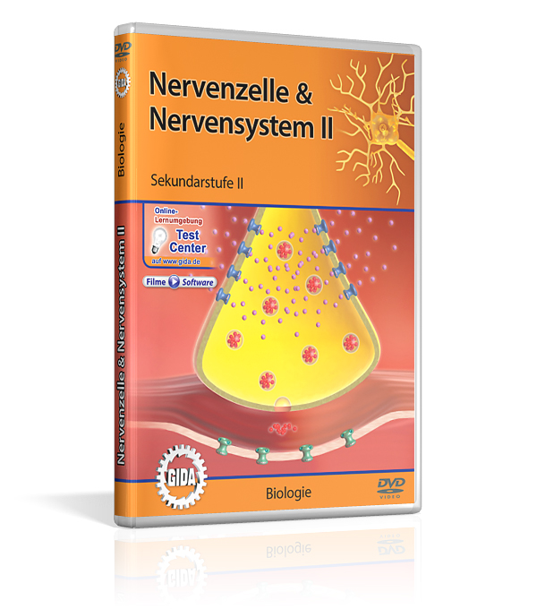 DVD-Cover mit dem Titel 'Nervenzelle & Nervensystem Zwei' für Sekundarstufe 2. Es zeigt die Illustration einer synaptische Übertragung.
