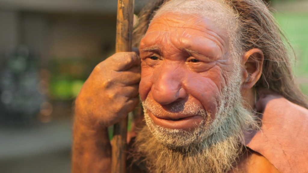Rekonstruktion eines Neandertalers mit einem Stock, lächelnd und mit einem Bart.