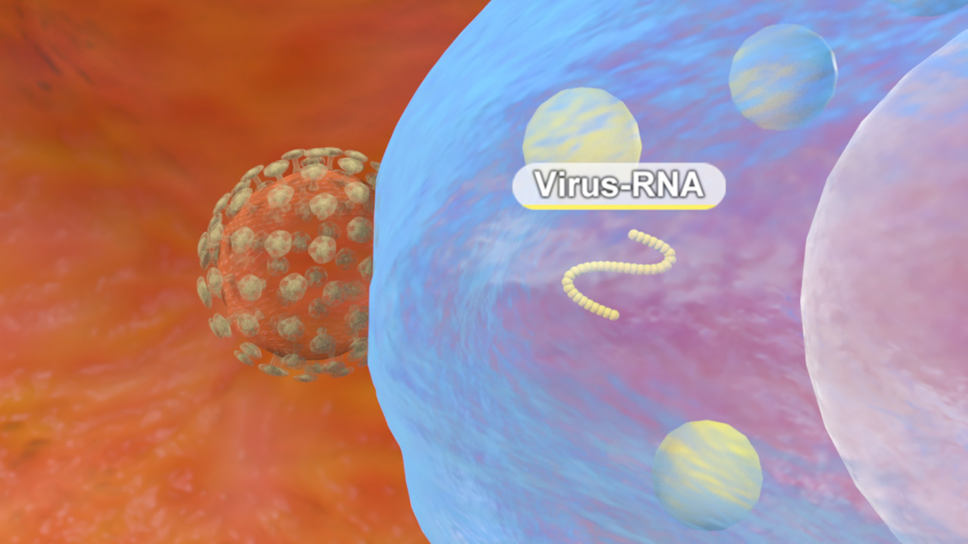 Darstellung von Virus-RNA, die in eine Zelle eindringt, mit einem Virus im Hintergrund.