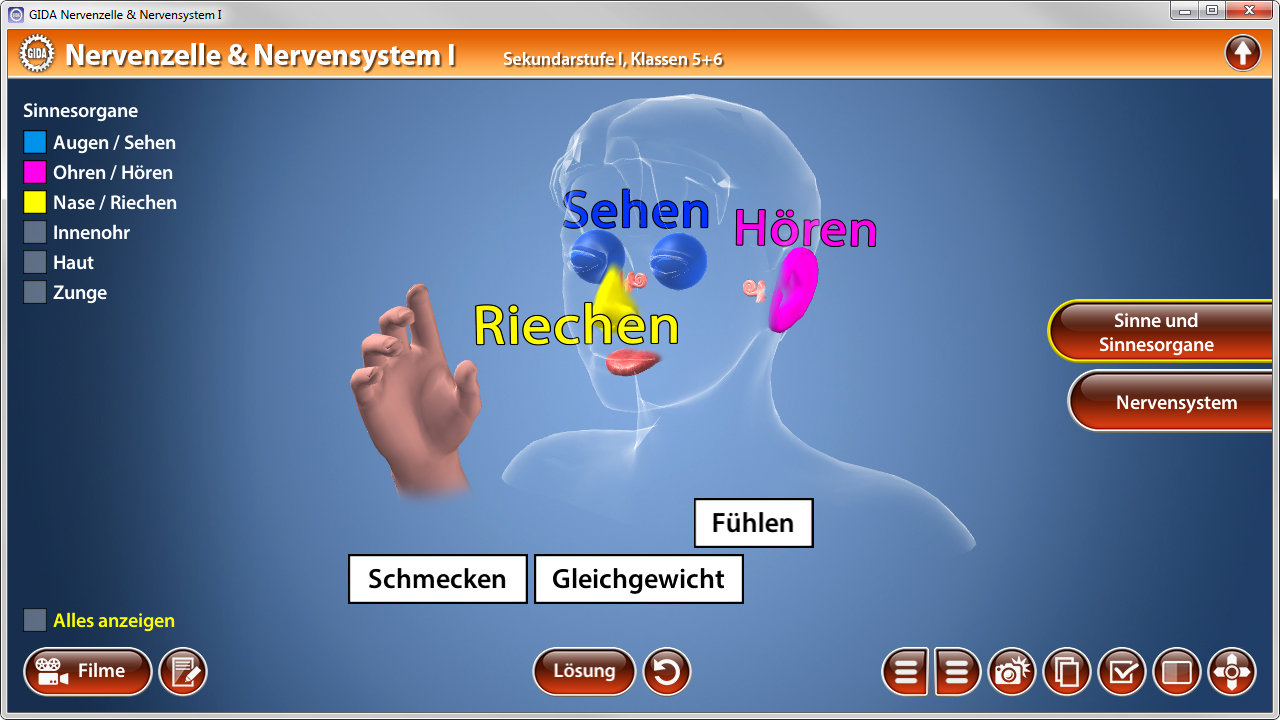 Grafik zeigt die fünf Sinne: Sehen, Hören, Riechen, Schmecken, Fühlen, mit entsprechenden Symbolen.