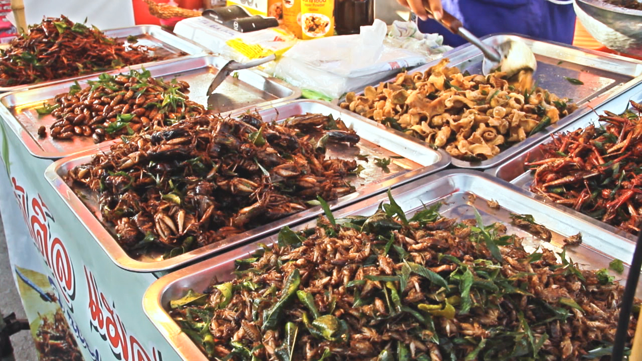 Ein Straßenmarkt mit verschiedenen Sorten von frittierten Insekten, darunter Heuschrecken und Käfer, auf Metalltabletts.