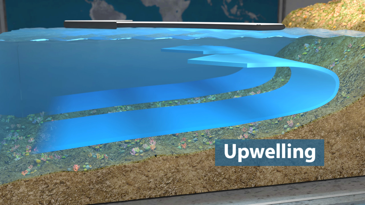 Grafik, die den Prozess des Auftriebs im Ozean zeigt, mit blauen Wasserströmungen und einem Unterwasserboden.
