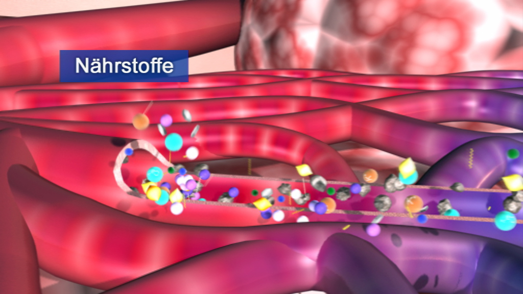 Grafik, die den Transport von Nährstoffen durch Blutgefäße darstellt, mit bunten Molekülen in Bewegung.
