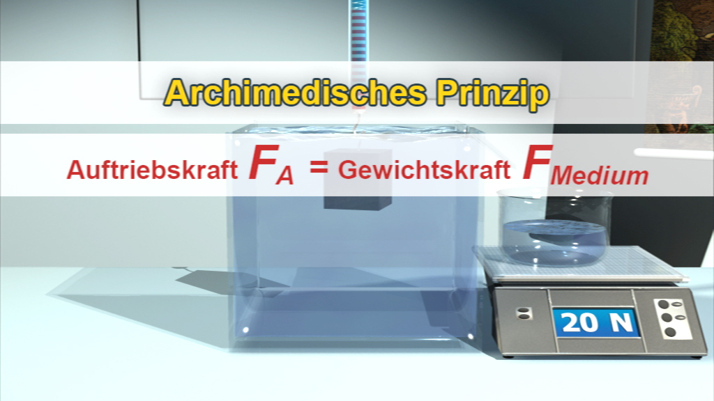 Animation des archimedischen Prinzips mit einer Flüssigkeit und einer Waage, die 20 Newton anzeigt.
