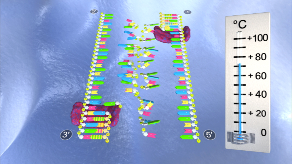Diagramm zeigt Temperaturverteilung in einem Wasserbereich mit farbigen Markierungen und einem Thermometer.