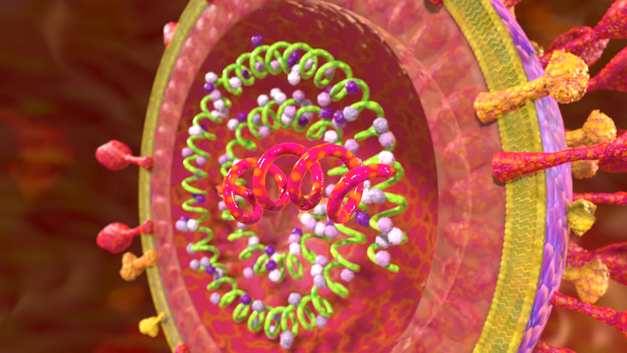 Grafik eines Virus mit einer bunten, spiralförmigen Struktur im Inneren und stachelartigen Auswüchsen außen.