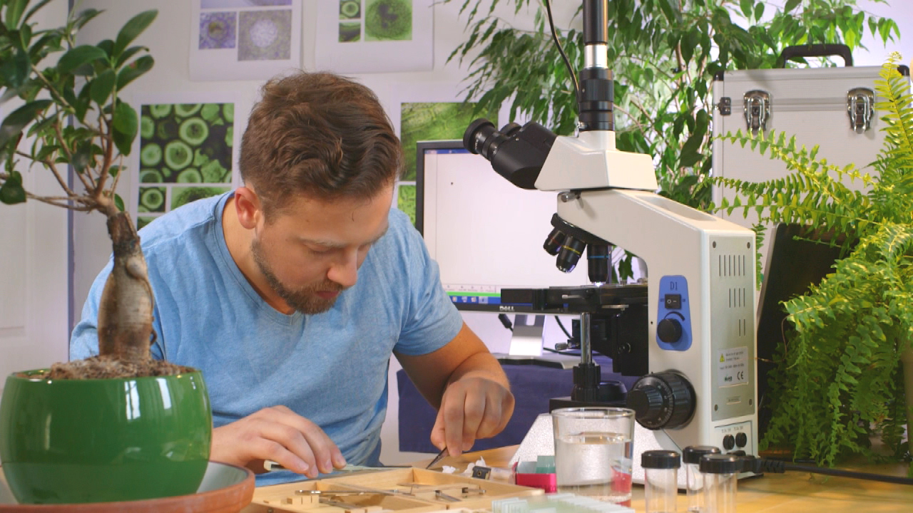 Ein Mann in einem blauen T-Shirt arbeitet an einem Mikroskop, umgeben von Pflanzen und wissenschaftlichem Equipment.
