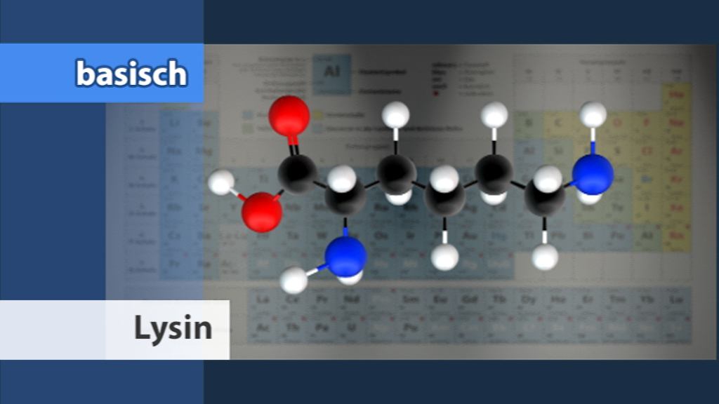 Molekülstruktur von Lysin mit farblich markierten Atomen auf einem Periodensystem im Hintergrund.