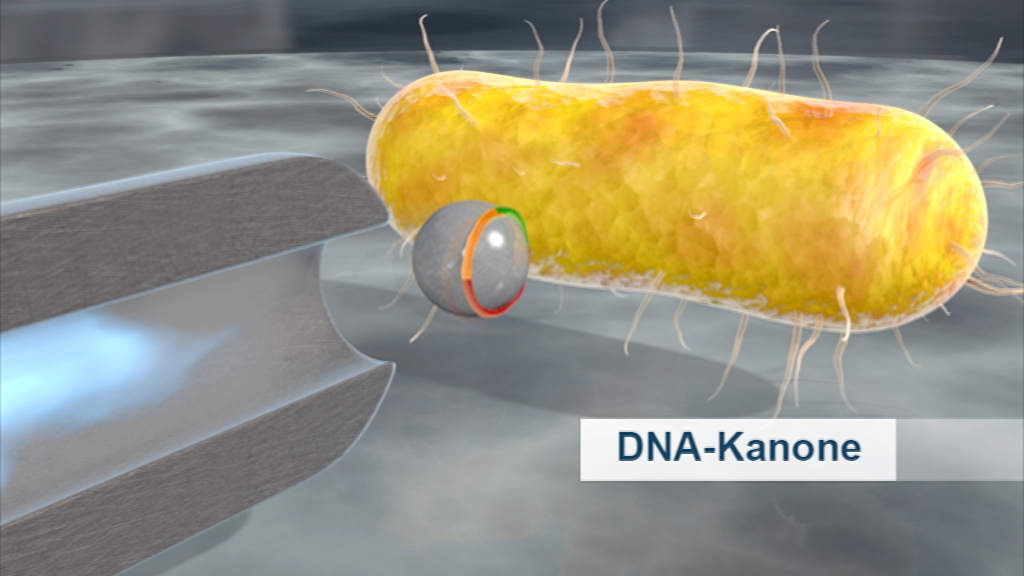 Grafik einer DNA-Kanone, die DNA in eine Bakterienzelle injiziert.
