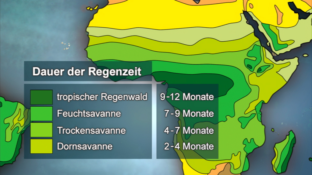 Karte von Afrika, die die Dauer der Regenzeit in verschiedenen Regionen zeigt, mit Farbcodes für tropischen Regenwald, Feuchtsavanne, Trocken Savanne und Dorn Savanne.