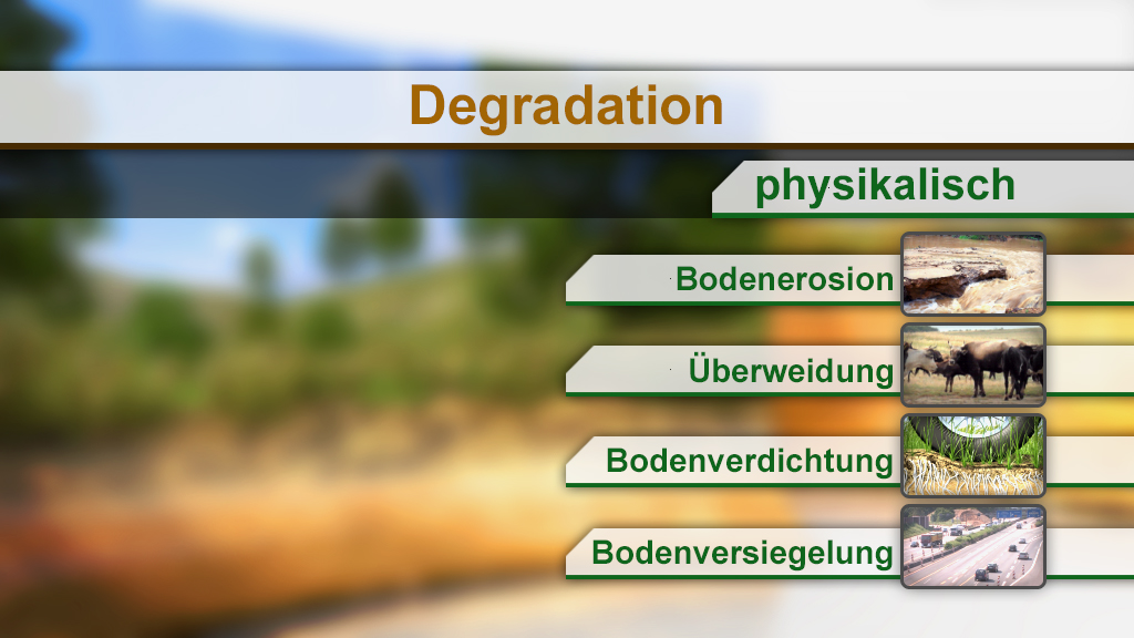 Infografik über Bodendegradation mit den Kategorien: physikalisch, Bodenerosion, Überweidung, Bodenverdichtung, Bodenversiegelung.
