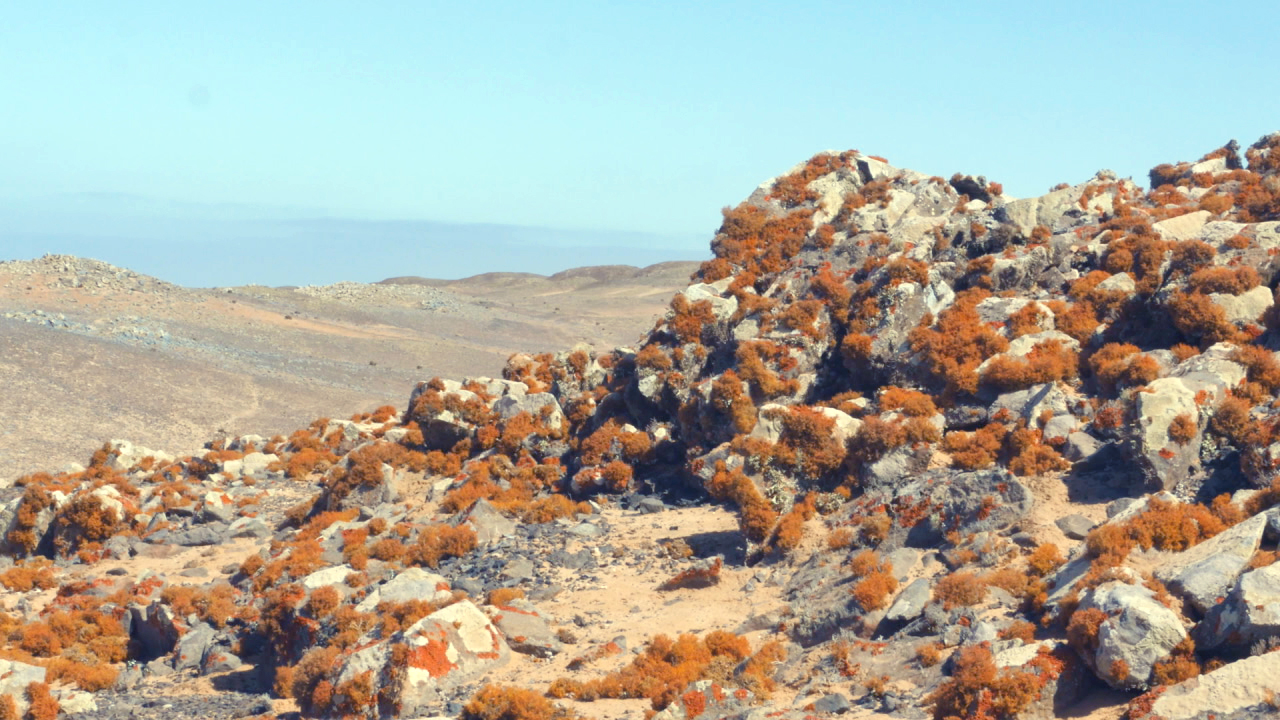 Felsige Landschaft mit orangefarbenem Moos und kargen Hügeln im Hintergrund.
