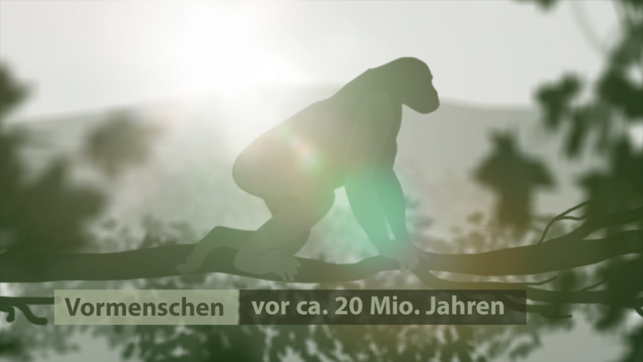 Silhouette eines Vormenschen, der auf einem Ast sitzt, mit dem Text 'Vormenschen vor ca. 20 Mio. Jahren' im Vordergrund.