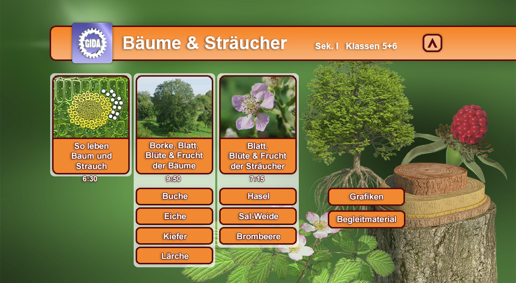 Interaktive Lernoberfläche über Bäume und Sträucher mit verschiedenen Themen und Grafiken.
