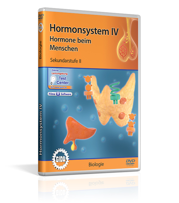 DVD-Cover für 'Hormonsystem IV: Hormone beim Menschen', zeigt grafische Darstellungen des Hormonsystems.