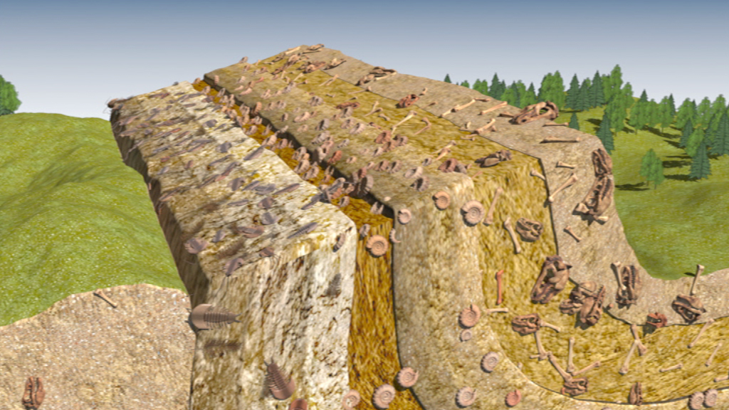 3D-Darstellung einer geologischen Formation mit Schichten aus Erde und Gestein, umgeben von Bäumen.