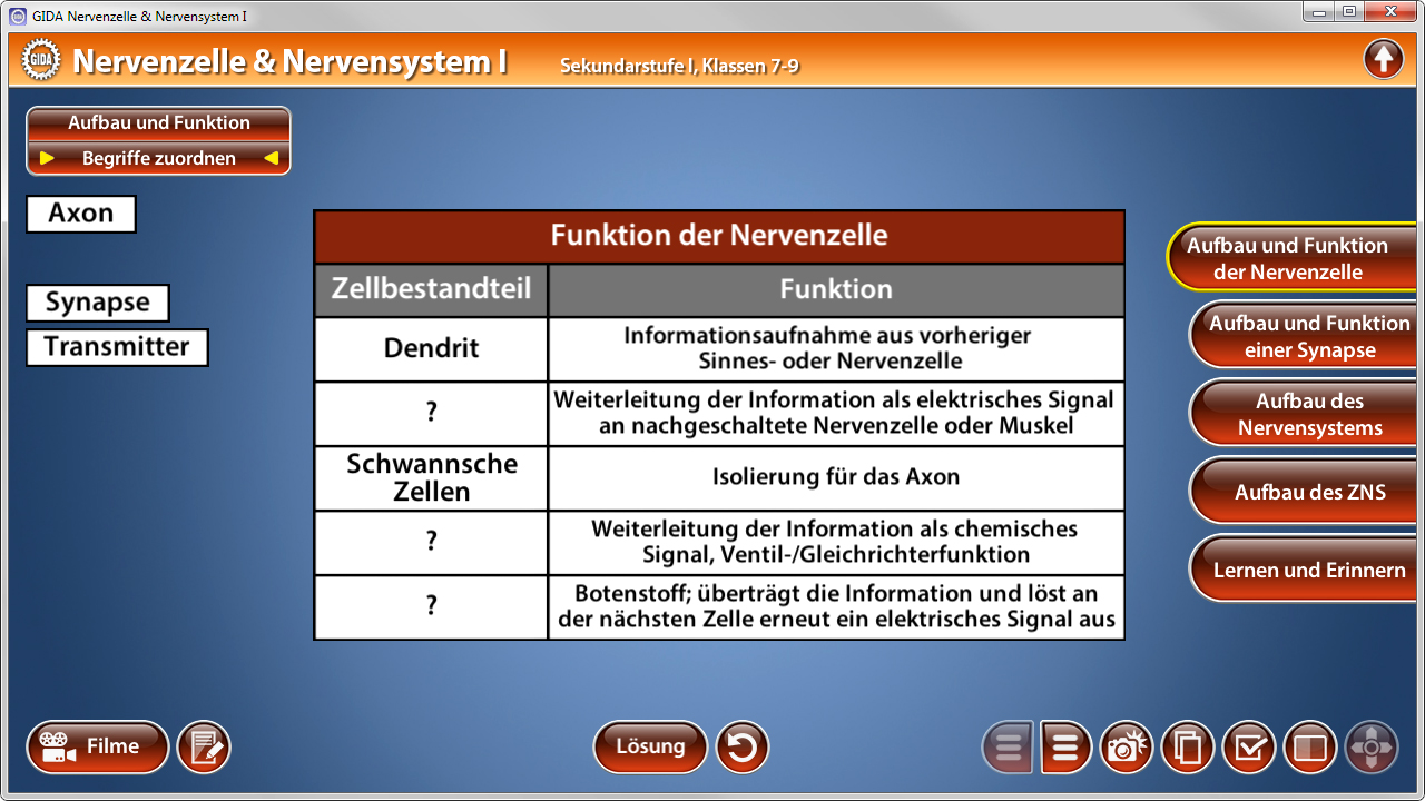 Interaktive Lernoberfläche über Nervenzellen und deren Funktionen, mit Platzhaltern für Dendriten und Schwann-Zellen.