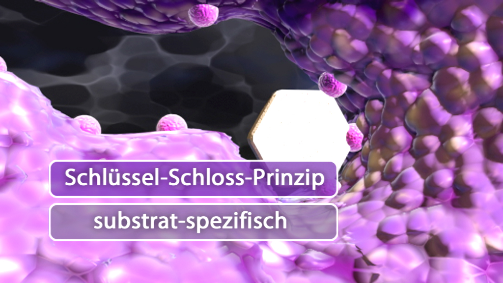 Darstellung des Schlüssel-Schloss-Prinzips in einer biologischen Umgebung mit lila und schwarzen Strukturen.