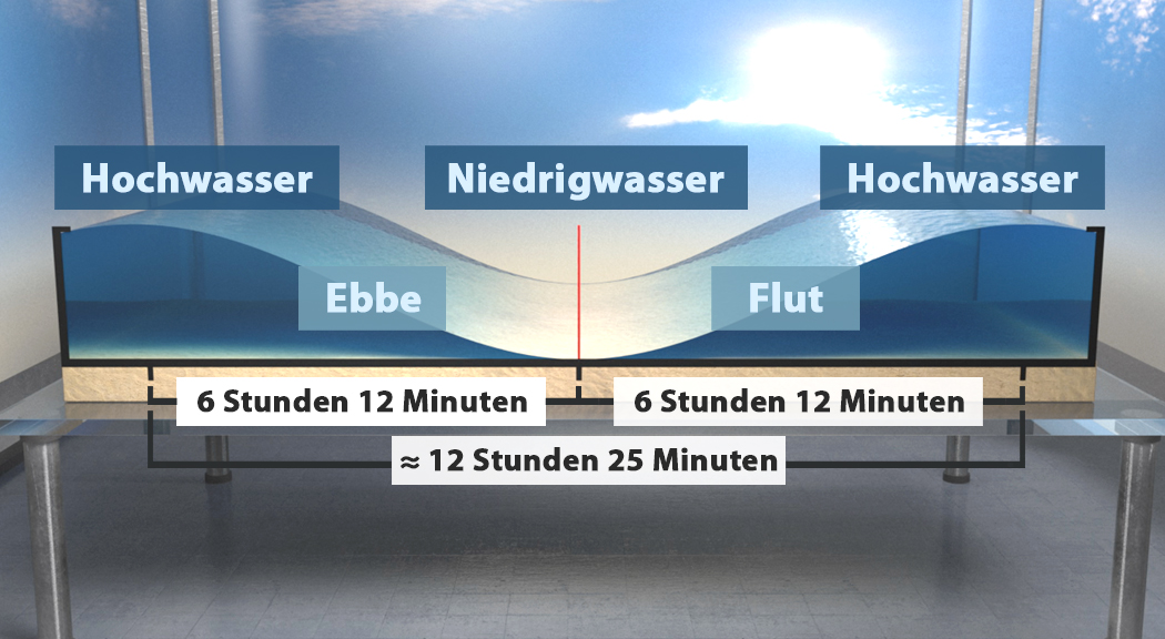 Meere & Ozeane I - Nord- und Ostsee