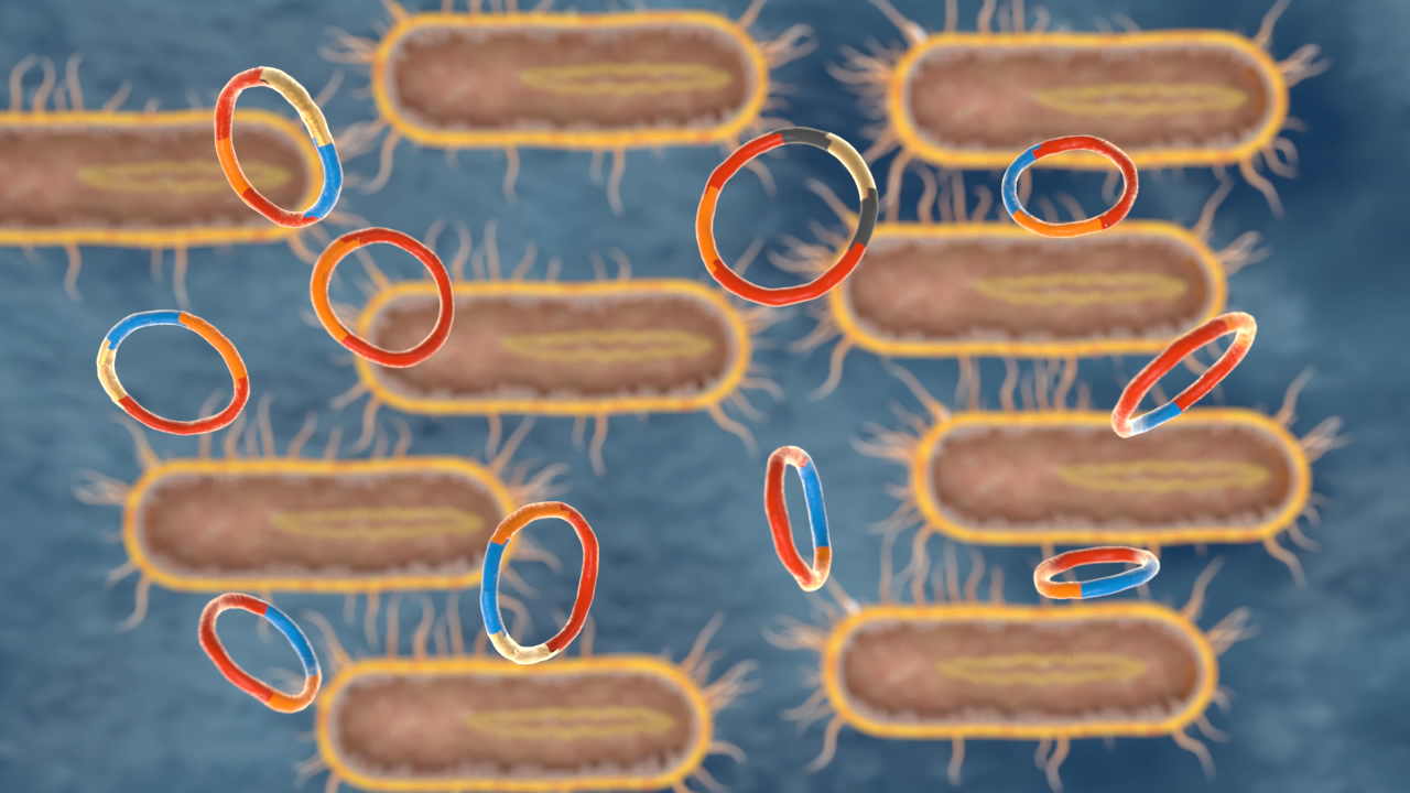 Darstellung von Bakterien mit DNA-Ringen in verschiedenen Farben, auf einem blauen Hintergrund.