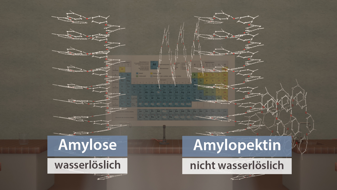 Diagramm, das die Struktur von Amylose (wasserlöslich) und Amylopektin (nicht wasserlöslich) vergleicht.