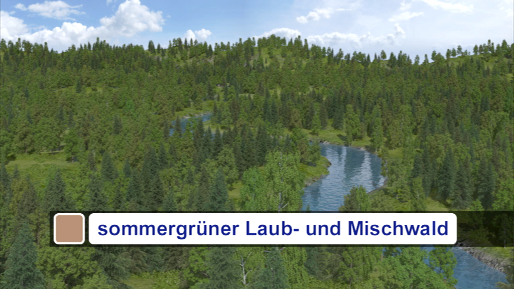Sommergrüner Laub- und Mischwald mit einem Fluss, umgeben von Bäumen und Hügeln.