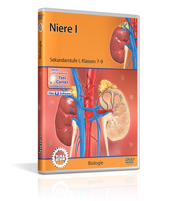 DVD-Cover mit dem Titel 'Niere Eins' für Sekundarstufe 1. Es zeigt eine anatomische Darstellung der Nieren und Blutgefäße.