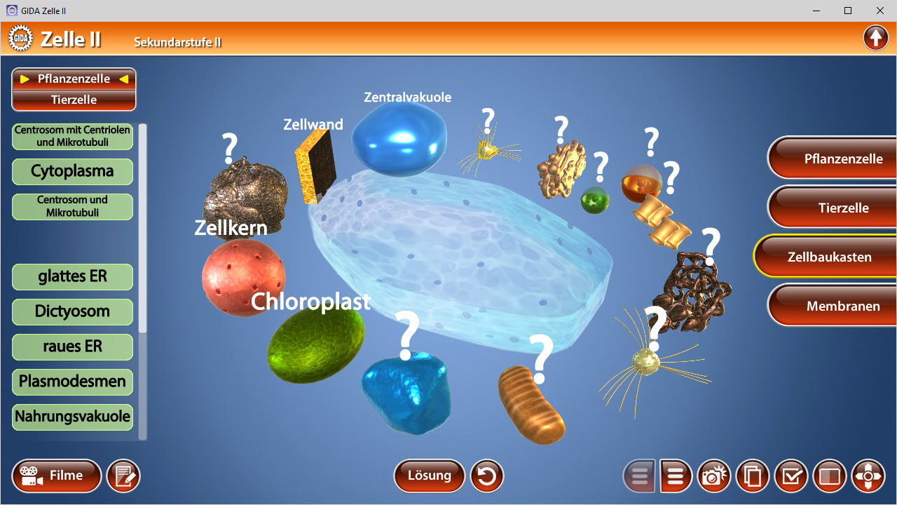 Interaktive Darstellung einer Zelle mit verschiedenen Organellen wie Zellkern, Chloroplasten und Vakuolen.