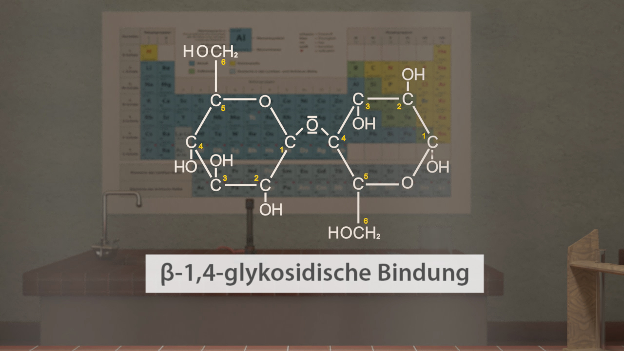 Chemische Struktur einer β-1,4-glykosidischen Bindung mit beschrifteten Hydroxylgruppen.