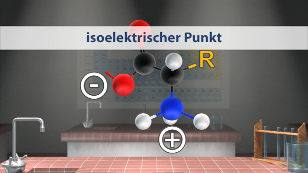 Molekülmodell mit farbigen Atomen, beschriftet mit 'isoelektrischer Punkt'.