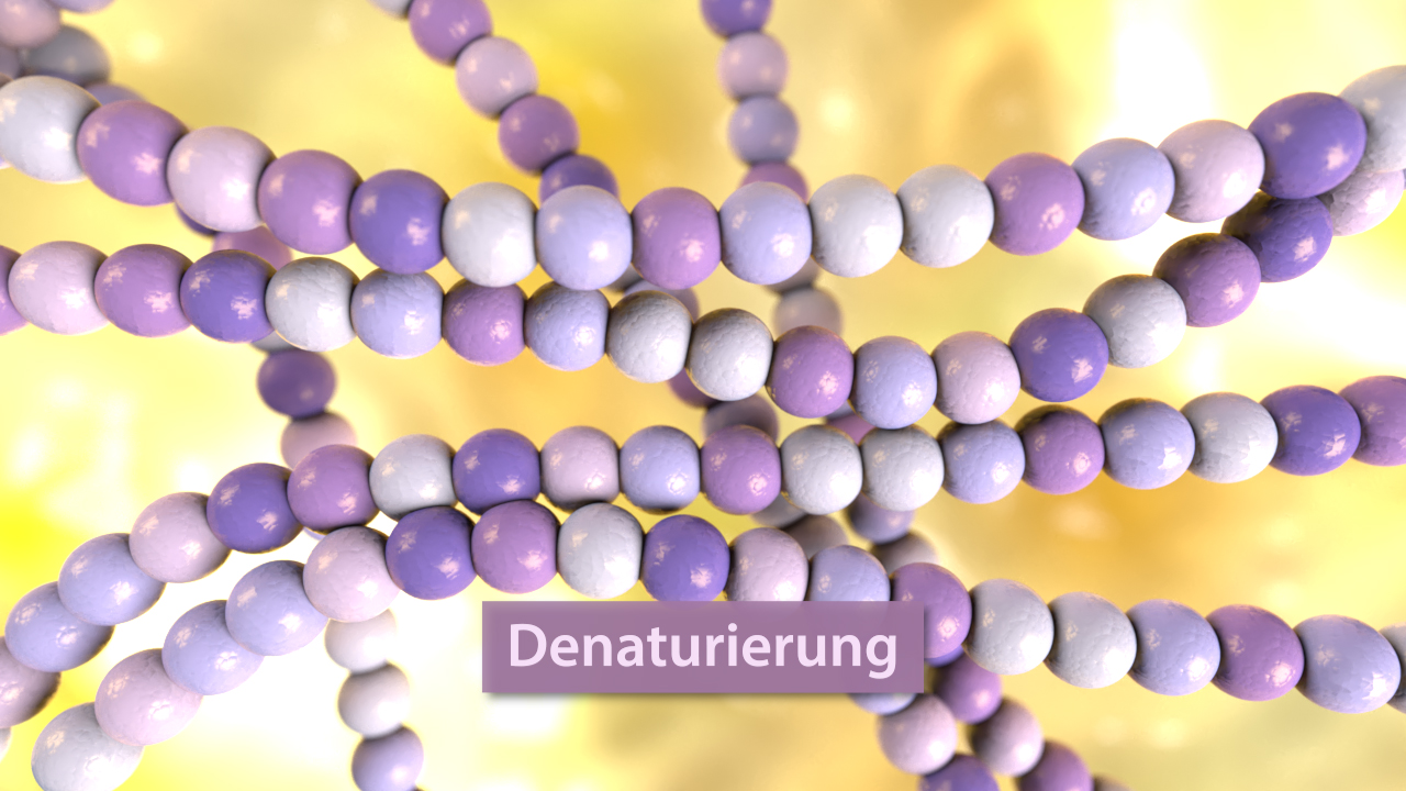 Molekulare Struktur mit lila und weißen Kugeln, beschriftet mit 'Denaturierung'.