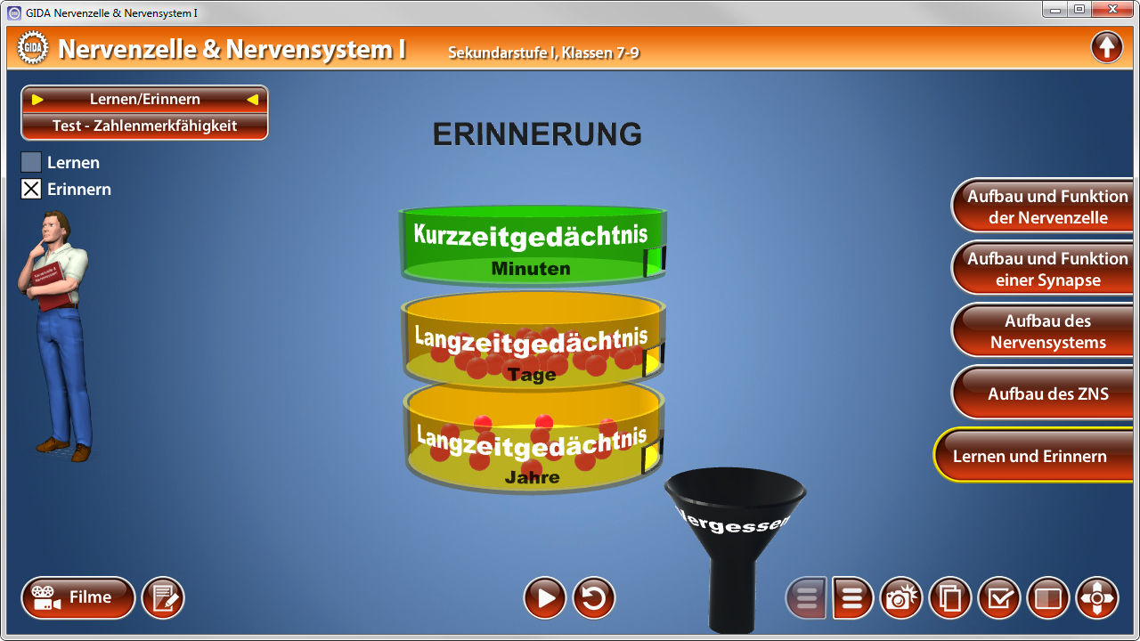 Grafik zur Erinnerung im Nervensystem mit drei Gedächtnisarten: Kurzzeitgedächtnis, Langzeitgedächtnis und Vergessen.
