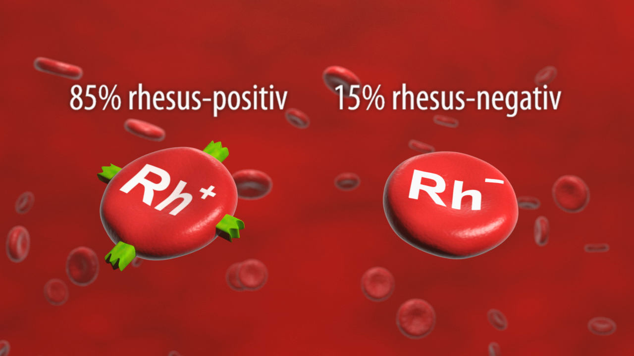 Grafik zeigt den Anteil von Rhesusfaktoren im Blut: 85% Rhesus-positiv (Rh+) und 15% Rhesus-negativ (Rh-).