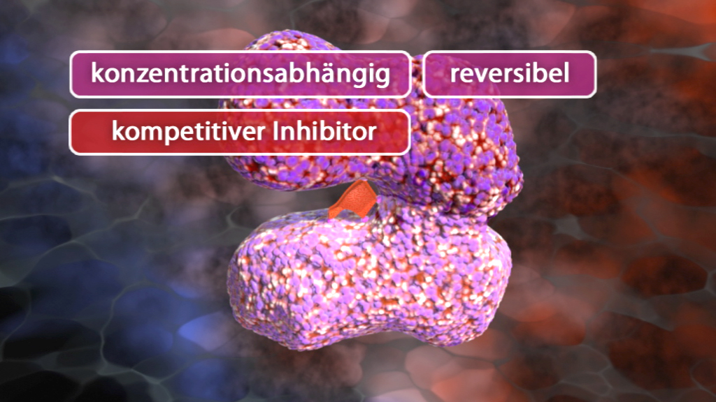 3D-Darstellung eines kompetitiven Inhibitors, der an ein Enzym bindet, mit den Begriffen 'konzentrationsabhängig', 'reversibel' und 'kompetitiver Inhibitor'.