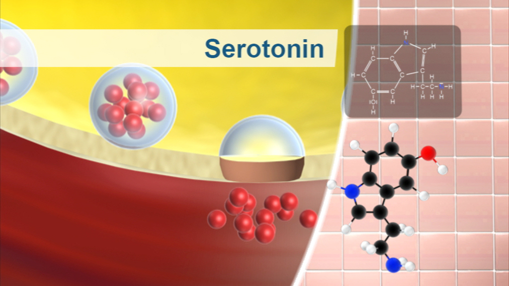 Grafik, die Serotonin zeigt, mit Molekülstruktur und farbigen Atomen in Blasen.
