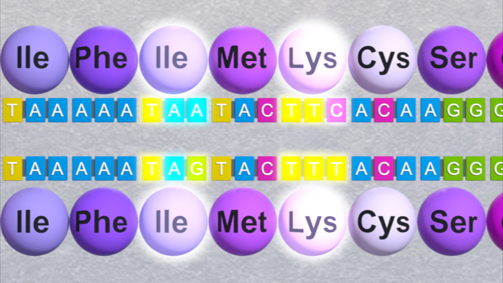 Darstellung von Aminosäuren und DNA-Sequenzen, die die genetische Codierung zeigen.