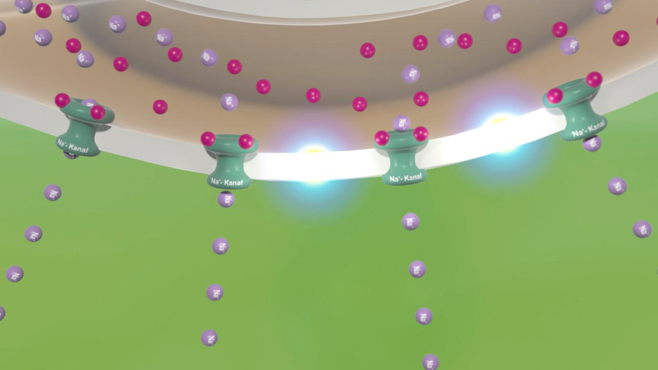 3D-Darstellung von Molekülen mit lila und roten Atomen, die um grüne Strukturen angeordnet sind.