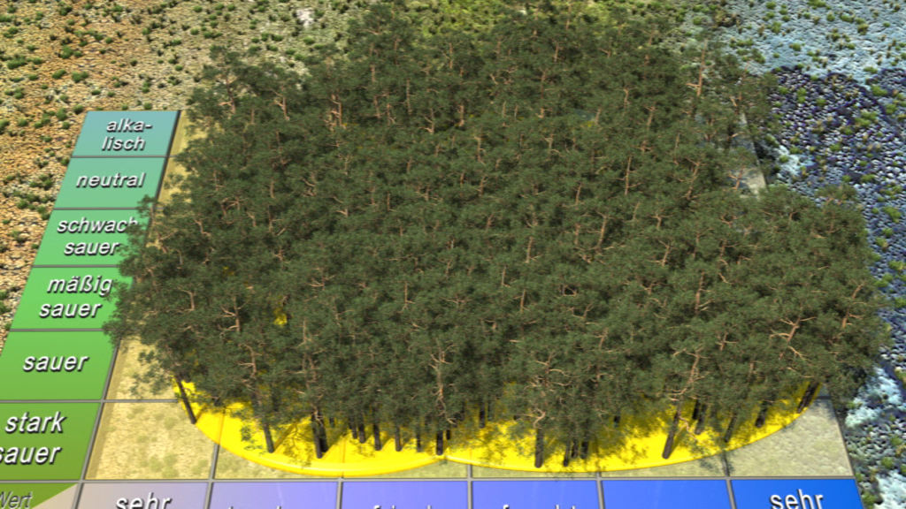 3D-Darstellung eines Waldes mit verschiedenen Boden-pH-Werten, von alkalisch bis sehr sauer, farblich gekennzeichnet.