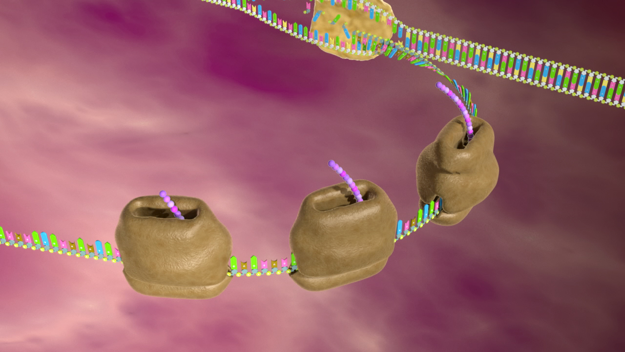 3D-Darstellung von Molekülen, die an einer Zellmembran interagieren, mit bunten Strukturen und einem violetten Hintergrund.