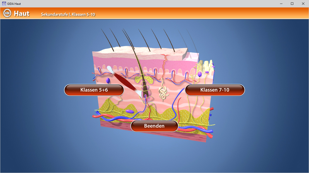 Interaktive Grafik zur Hautanatomie mit Klassen 5-10 Auswahl.