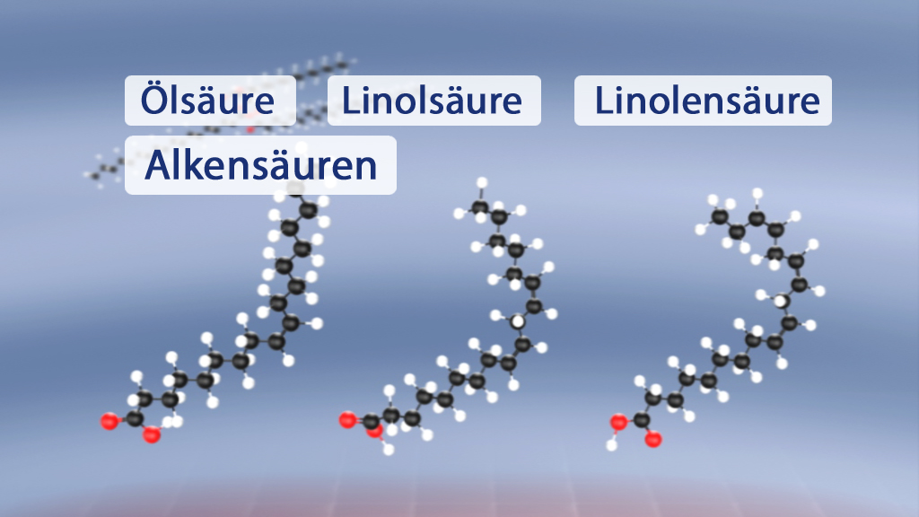 Molekülstrukturen von Ölsäure, Linolsäure und Linolensäure, dargestellt mit chemischen Bindungen und Atomen.