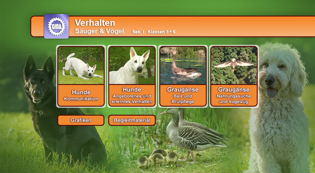 Menü des Films mit den Themen: Hunde - Kommunikation, Hunde - Verhalten, Graugänse - Balz und Brutpflege, Graugänse - Nahrungssuche und Vogelflug.